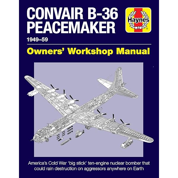 洋書 Magnesium Overcast: The Story of Amazon.co.jp: Magnesium Overcast : Jenkins, Dennis R